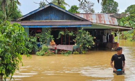 Curah Hujan Ekstrem dan Risiko Banjir di Desa Sukaraja, Sepaku