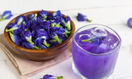 Manfaat Bunga Telang bagi Kesehatan Tubuh dan Perawatan Alami