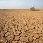 El Nino 2026 Diprediksi Ekstrem, Dunia Siap Hadapi Panas Rekor