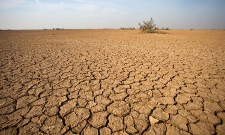 El Nino 2026 Diprediksi Ekstrem, Dunia Siap Hadapi Panas Rekor