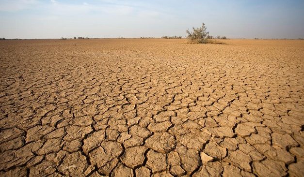 El Nino 2026 Diprediksi Ekstrem, Dunia Siap Hadapi Panas Rekor