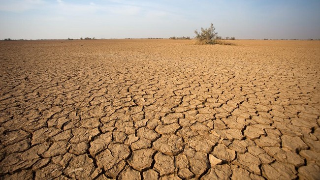 El Nino 2026 Diprediksi Ekstrem, Dunia Siap Hadapi Panas Rekor