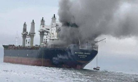 Selat Hormuz Memanas! Kapal Dagang Ditembaki, Dunia Waspada