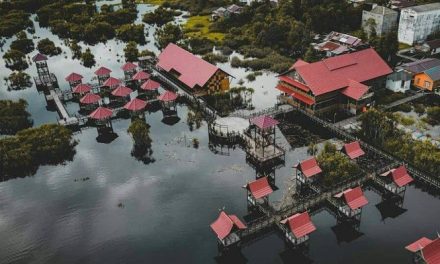 Wisata Kereng Bangkirai: Pesona Air Hitam Ikonik Palangka Raya