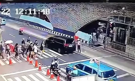 Terungkap! Alphard yang Viral Diduga Gunakan Pelat Palsu