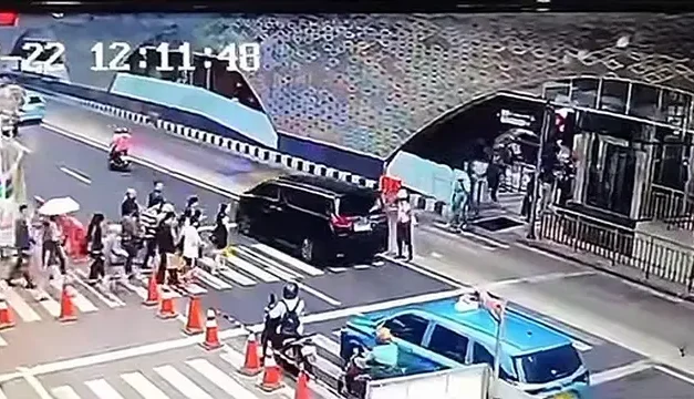 Terungkap! Alphard yang Viral Diduga Gunakan Pelat Palsu