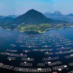 5 Wisata Purwakarta yang Wajib Dikunjungi untuk Liburan Seru
