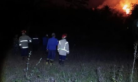 Kebakaran Gunung Geulis Sukabumi Hanguskan 4 Hektare Ladang dan Hutan Bambu