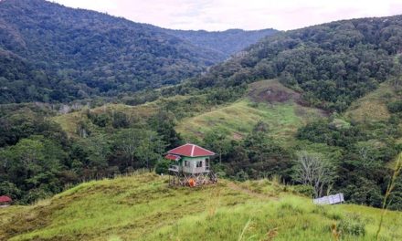 Padang Savana Long Tua, Pesona Alam yang Bikin Terpukau
