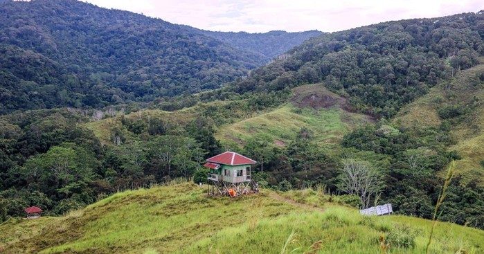 Padang Savana Long Tua, Pesona Alam yang Bikin Terpukau