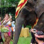 Tumpek Uye di Bali, Tradisi Menghormati Satwa yang Sarat Makna Filosofis