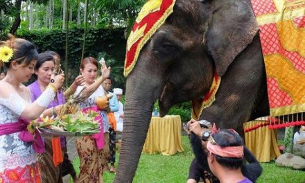 Tumpek Uye di Bali, Tradisi Menghormati Satwa yang Sarat Makna Filosofis