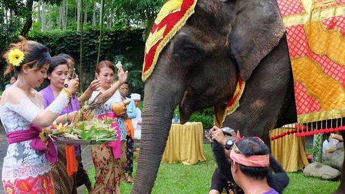 Tumpek Uye di Bali, Tradisi Menghormati Satwa yang Sarat Makna Filosofis
